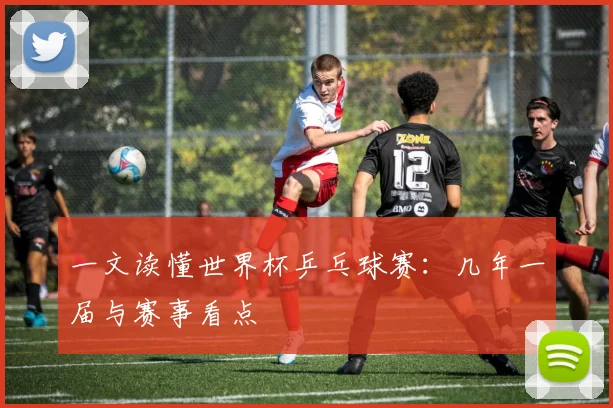 一文读懂世界杯乒乓球赛:几年一届与赛事看点
