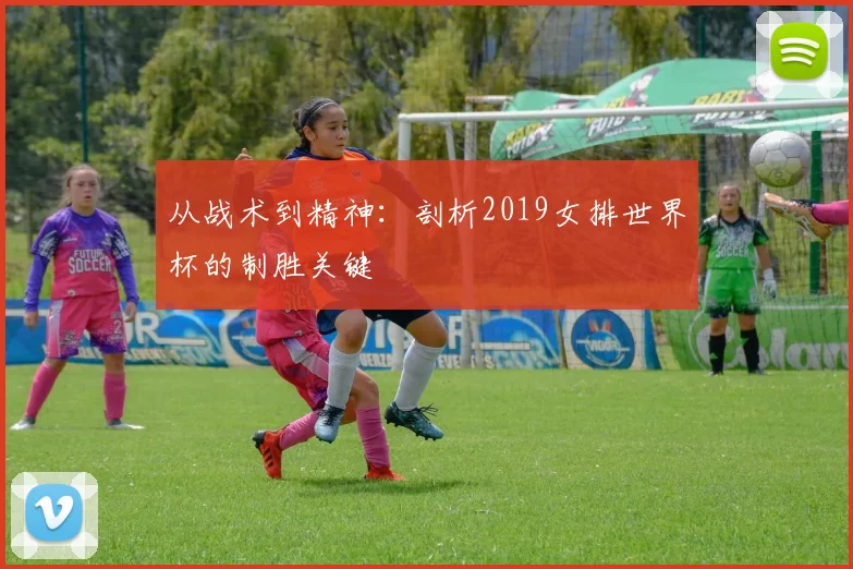 从战术到精神：剖析2019女排世界杯的制胜关键