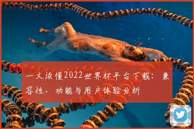 一文读懂2022世界杯平台下载:兼容性、功能与用户体验分析