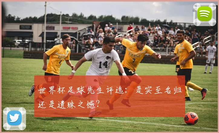 世界杯足球先生评选:是实至名归还是遗珠之憾?